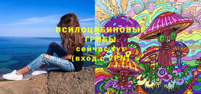 закладки  Купино  Галлюциногенные грибы MAGIC MUSHROOMS 